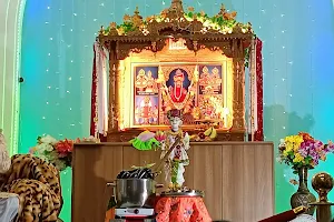 Shree Swaminarayan Hindu Temple - Vadtal Dham image
