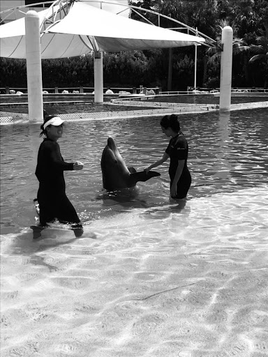 Tour Agency «Miami Swim With Dolphin Tours», reviews and photos, 247 SW 8th St, Miami, FL 33130, USA