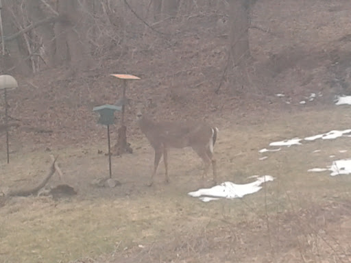 Non-Profit Organization «Museum of American Bird Art at Mass Audubon», reviews and photos, 963 Washington St, Canton, MA 02021, USA