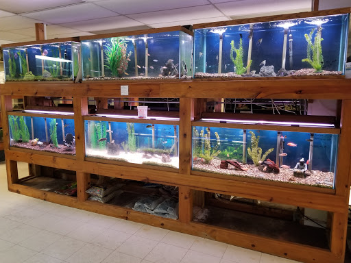 Pet Supply Store «All About Pets», reviews and photos, 9285 Cincinnati Columbus Rd, West Chester Township, OH 45069, USA