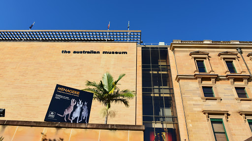 William St opp Australian Museum