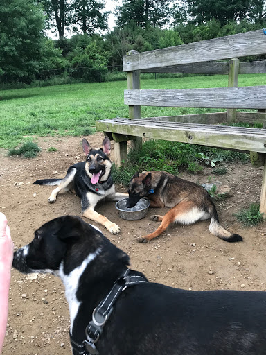 Dog Park «Worthington Off Leash Dog Park», reviews and photos, 8170 Hillsborough Rd, Ellicott City, MD 21043, USA