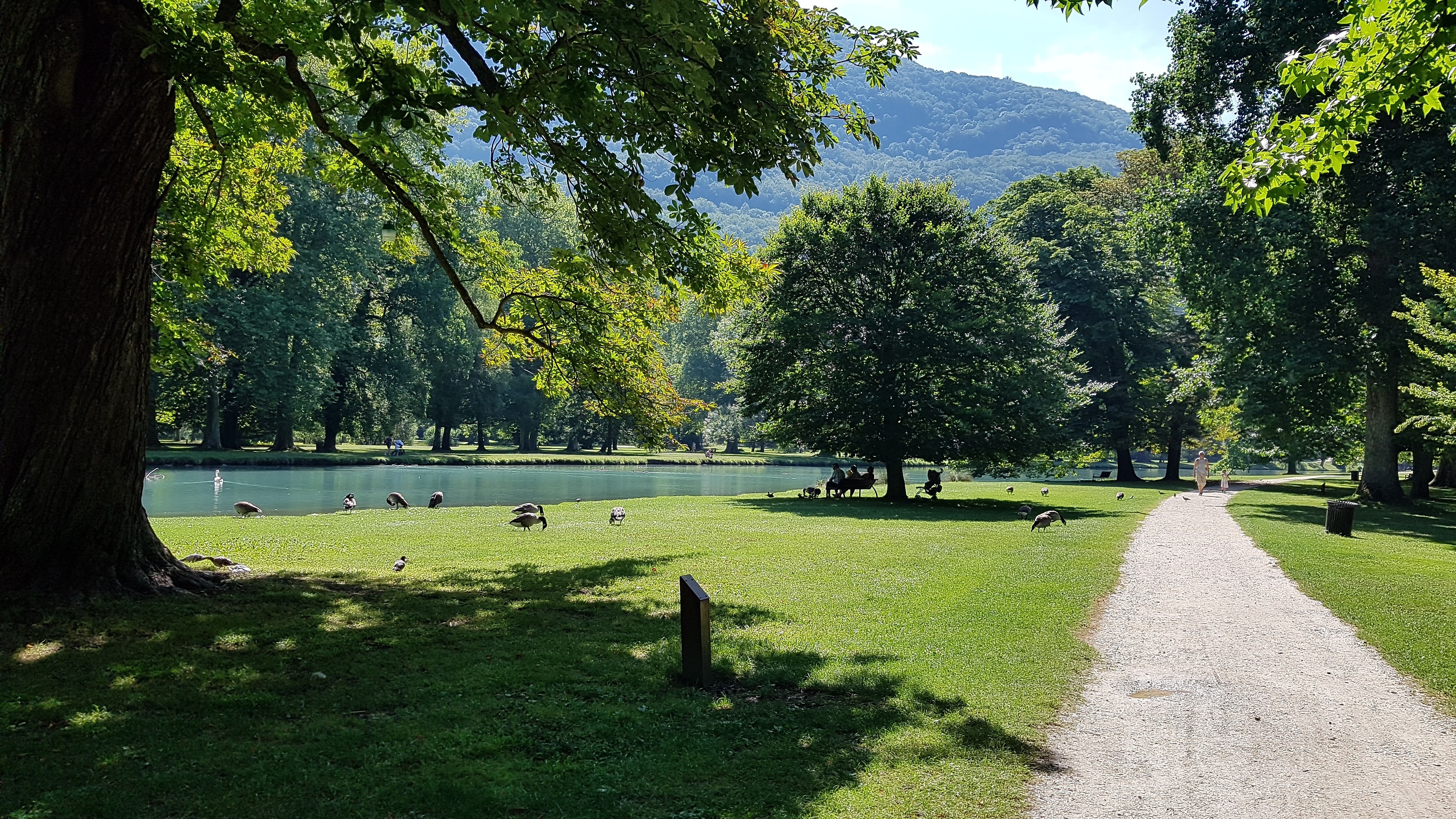 Photo n° 21 de l'avis de Jean-Louis. fait le 13/08/2019 à 17:10