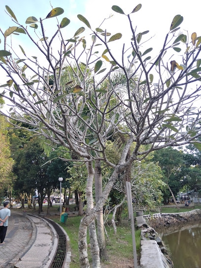 Pohon kamboja