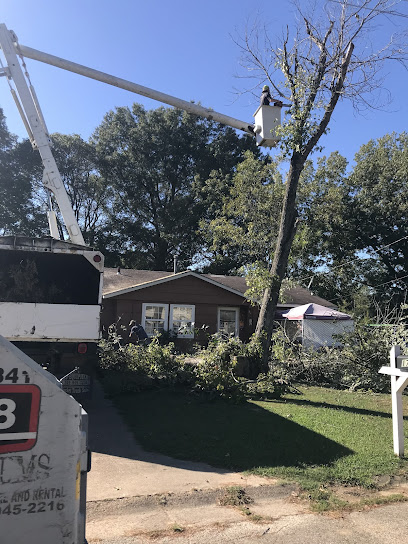 Branch'In Out Tree Service