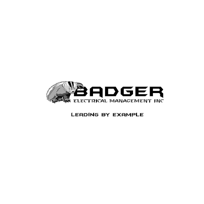 Badger Electrical Management