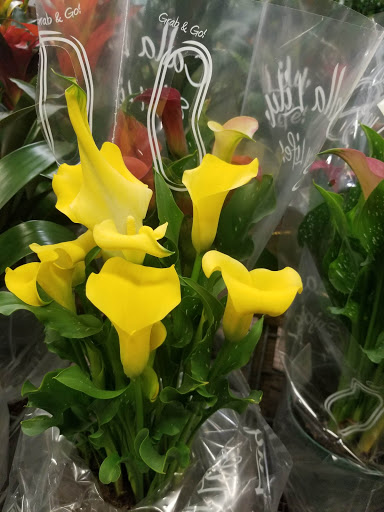 Florist «Sieck-Wright Floral Products», reviews and photos, 231 Monmouth St, Hightstown, NJ 08520, USA