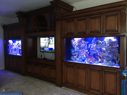 Tropical Fish Store «Hooked On Reefs», reviews and photos, 228 Hibiscus St #1, Jupiter, FL 33458, USA