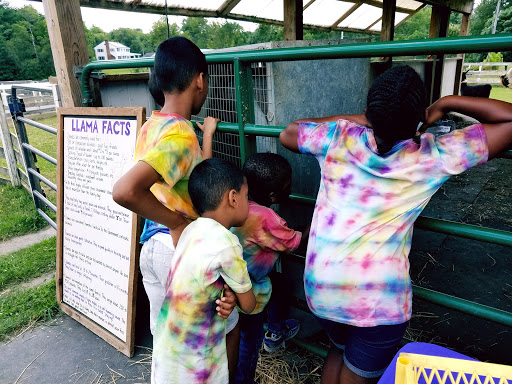 Farm «Dakota Ridge Farm», reviews and photos, 189 E High St, Ballston Spa, NY 12020, USA