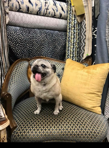 Fabric Store «Fabric City Inc», reviews and photos, 100-04 Northern Blvd, Corona, NY 11368, USA