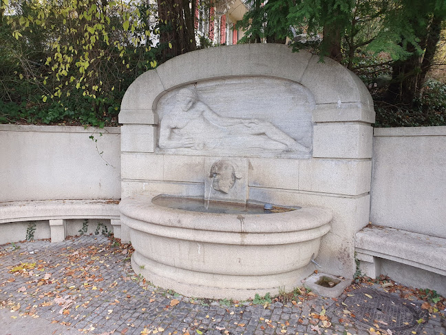 Brunnen am Rigiblick - Zürich