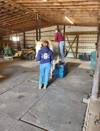 Delmarva Equine Clinic image