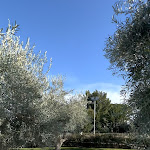 Photo n°1 de l'avis de ensei.a fait le 15/03/2023 à 17:28 sur le  Villa Pesce Residenza d'epoca à Canosa di Puglia