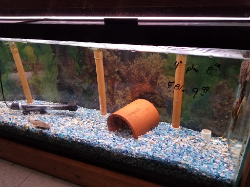 Pet Supply Store «All About Pets», reviews and photos, 9285 Cincinnati Columbus Rd, West Chester Township, OH 45069, USA