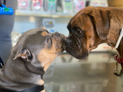 Myramar - Veterinarios En Fuengirola en Fuengirola