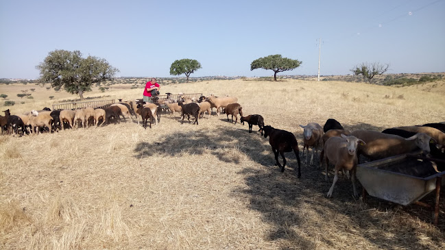 Herdade do Monte Outeiro - Turismo Rural - Barcelos