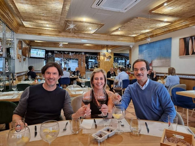 Jose Luis Rocha, Sociedade Unipessoal Lda.