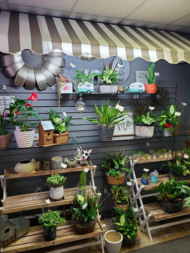 Florist «Picket Fence Floral and Design», reviews and photos, 897-20 Washington Ave, Holland, MI 49423, USA