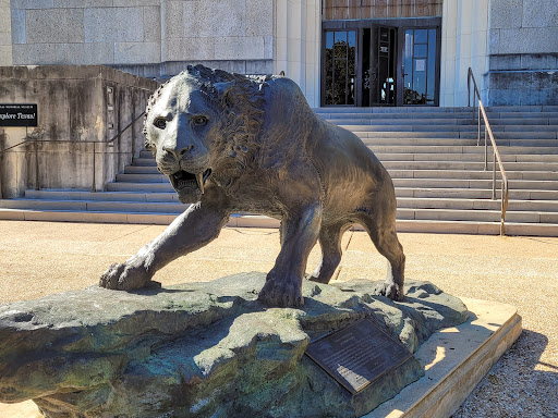 Museum «Texas Memorial Museum», reviews and photos, 2400 Trinity St, Austin, TX 78705, USA