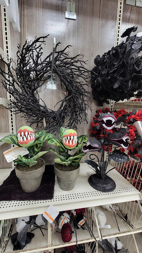 Craft Store «Michaels», reviews and photos, 7131 Coastal Blvd, Brooksville, FL 34613, USA