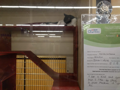 Pet Supply Store «PetSmart», reviews and photos, 7061 Youree Dr, Shreveport, LA 71105, USA