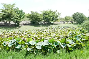 Bazhang Riverside Park image