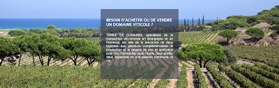 TERRES DE DOMAINES Bienvenue chez le spécialiste de la transaction viti-vinicole en Provence à Bormes-les-Mimosas