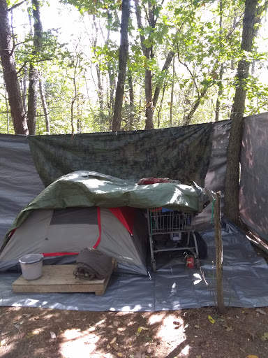 Discount Store «Dollar General», reviews and photos, 8225 Williamsport Pike, Falling Waters, WV 25419, USA