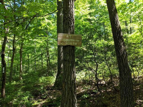 State Park «Bear Mountain State Park», reviews and photos, Route 9W North, Bear Mountain, NY 10911, USA