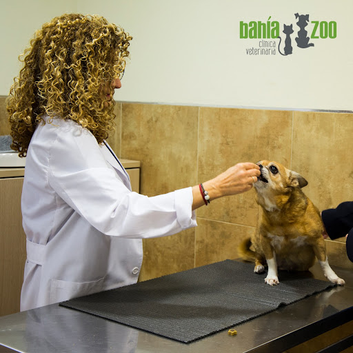 Bay Clínica Veterinaria Zoo en Almería