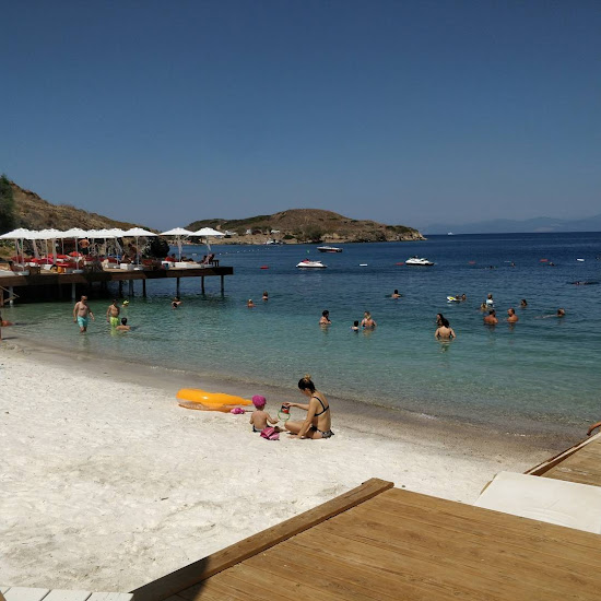 Dodo Plaża