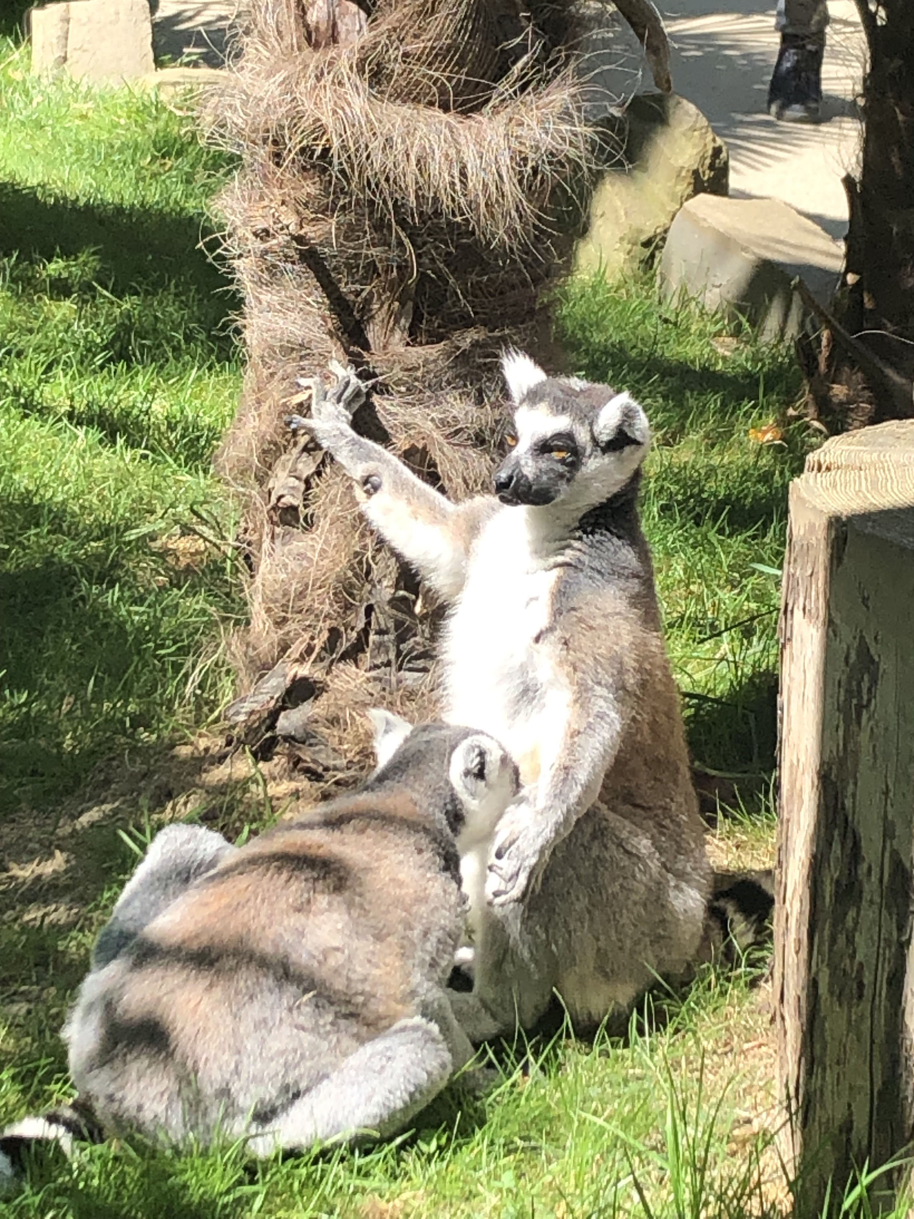 Photo n° 3 de l'avis de Laurence.E fait le 07/08/2023 à 14:35