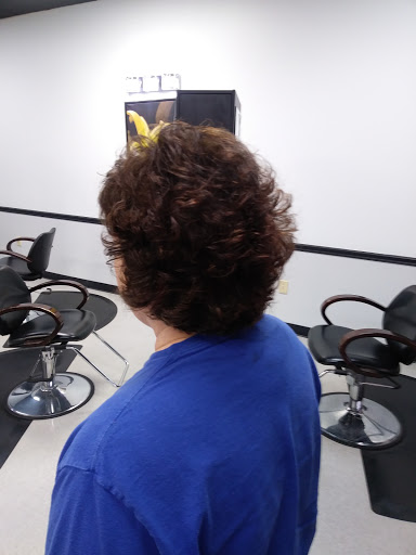 1245 Cedar Rd # K, Chesapeake, VA 23322, USA