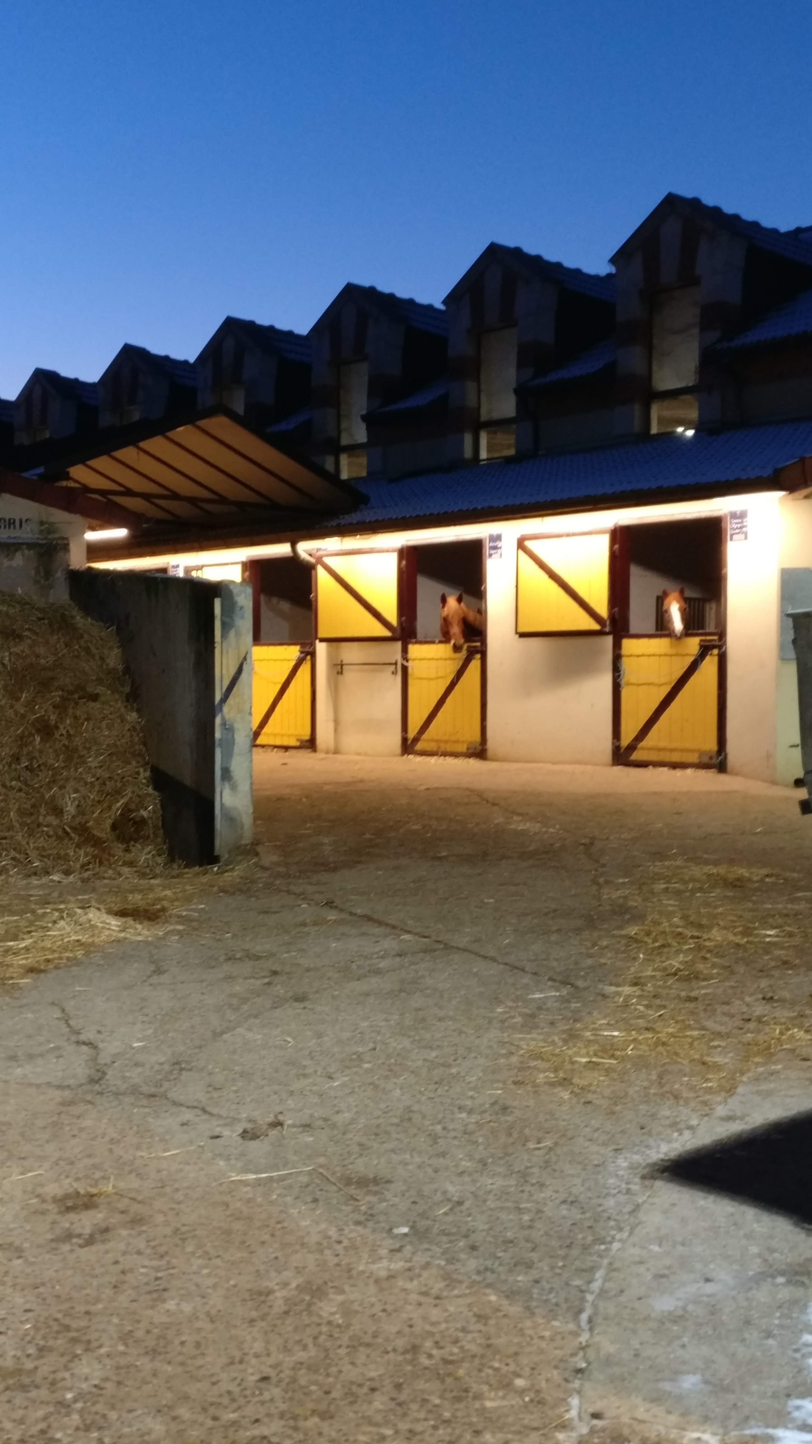 Photo n° 1 de l'avis de C..r fait le 20/02/2021 à 14:27