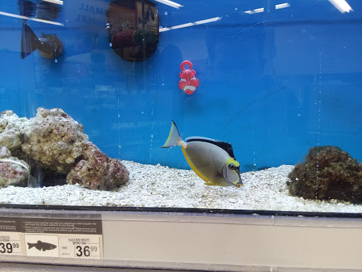 Pet Supply Store «Petco Animal Supplies», reviews and photos, 5047 E Marketplace Dr, Flagstaff, AZ 86004, USA