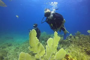 Dolin Dive & Water sports image