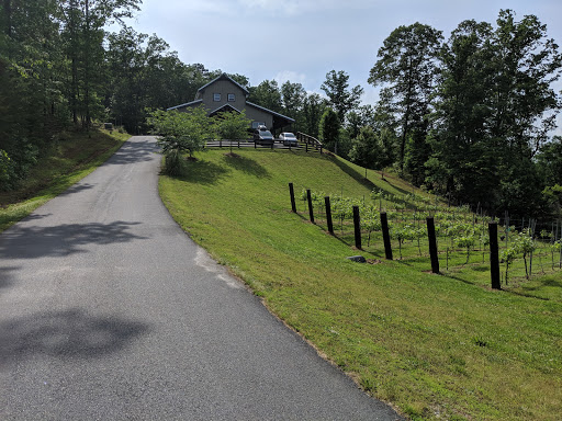 Wedding Venue «Blue Mountain Vineyards», reviews and photos, 184 Turkey Hl, Dahlonega, GA 30533, USA
