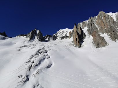 Glacier du Géant