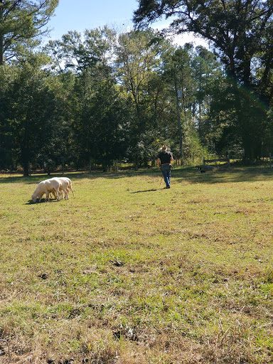 Tourist Attraction «William Harris Homestead», reviews and photos, 3636 State Hwy 11, Monroe, GA 30656, USA