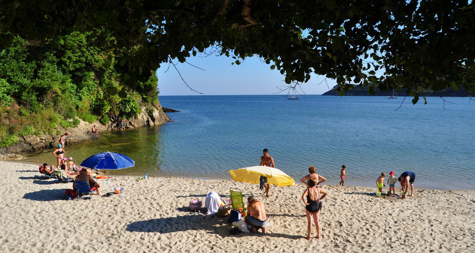 Praia de Sardineiro'in fotoğrafı vahşi alan