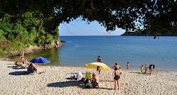 Praia de Sardineiro'in fotoğrafı vahşi alan