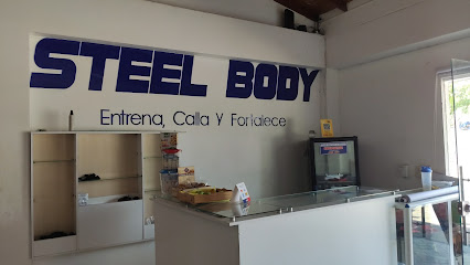 Steel Body
