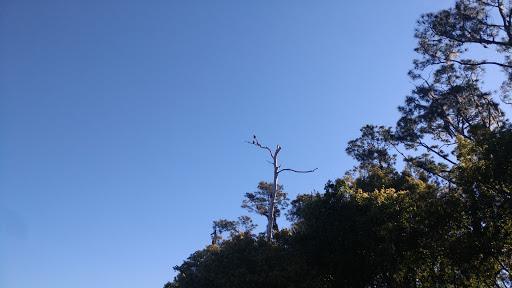 Golf Course «Deer Island Country Club», reviews and photos, 18000 Eagles Club House Way, Tavares, FL 32778, USA