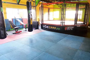 TIGER CAGE MMA image