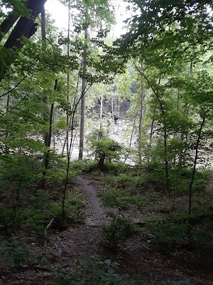 Saw Mill BranchBuzzard RockForest Glen Trails - photo 98