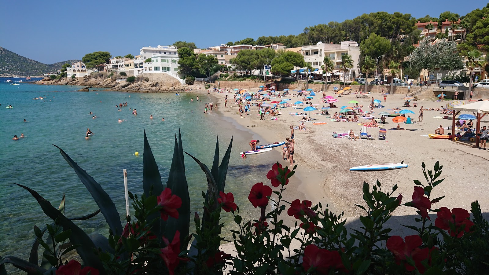 Foto von Platja de Sant Elm mit feiner beiger sand Oberfläche