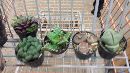 Home Improvement Store «The Home Depot», reviews and photos, 35930 Detroit Rd, Avon, OH 44011, USA