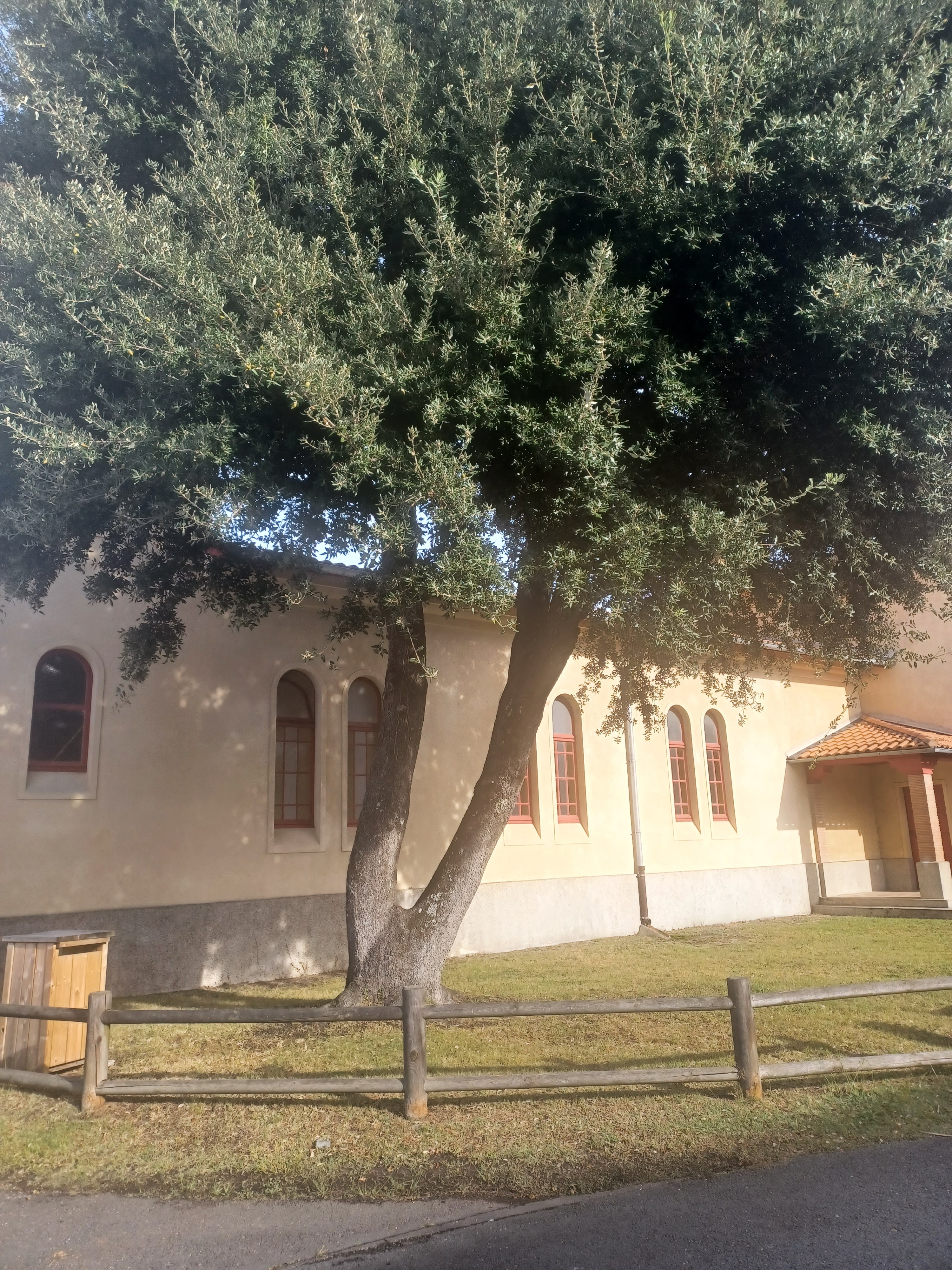Photo n° 3 de l'avis de Ketty.o fait le 22/10/2023 à 10:31