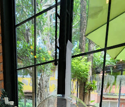 Phu Tario photo