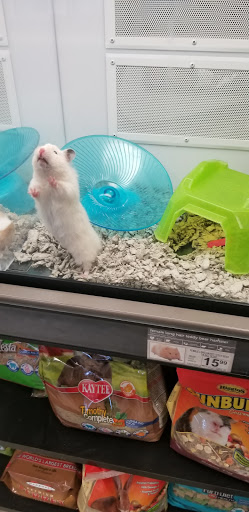 Pet Supply Store «Petco Animal Supplies», reviews and photos, 1450 Twixt Town Rd, Marion, IA 52302, USA